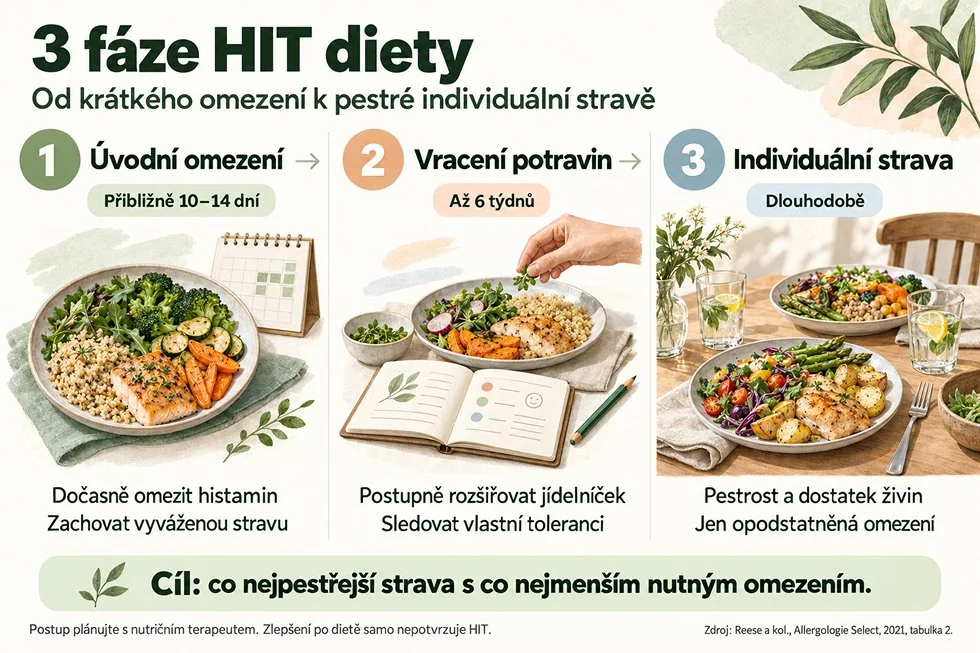 HIT dieta a jeji 3 fáze